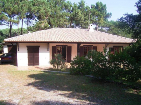 Villa CapFerret sous les pins,bassin et océan à pied